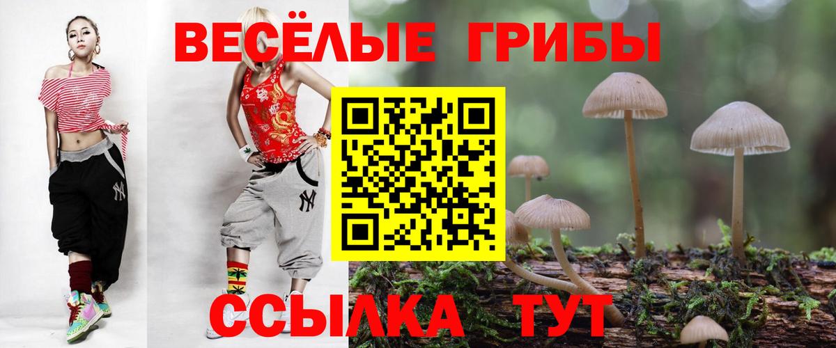 Галлюциногенные грибы Psilocybe  Вход с VPN  закладка  Сергиев Посад  Псилоцибиновые грибы MAGIC MUSHROOMS 